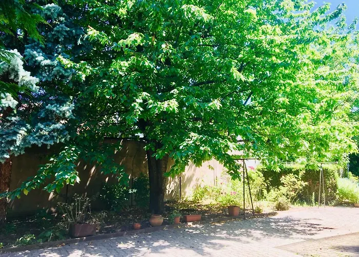 Σπίτι διακοπών Ducs D'alsace